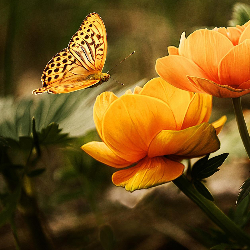 Gesprächstermin vereinbaren